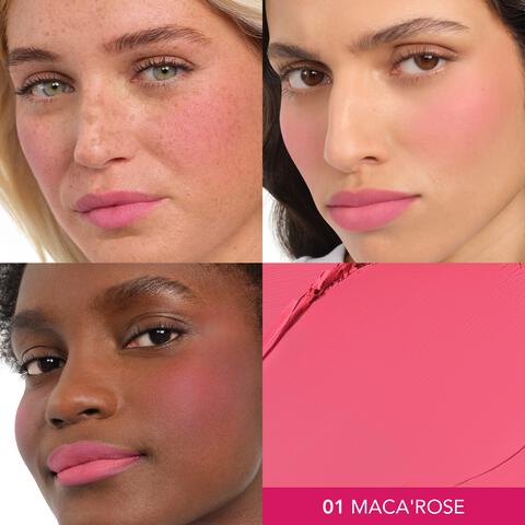 Bourjois Macaron Melt Lip & Cheek Flush 001 Macarose