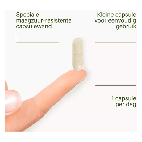 Nupure Probaflor Probiotica Capsules 30 stuks