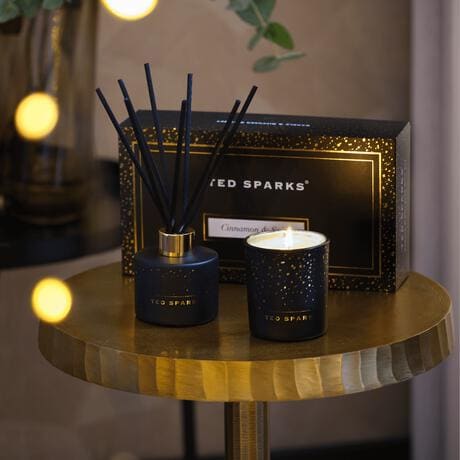 Ted Sparks Giftset Candle & Diffuser Cinnamon & Spice