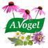 A.Vogel Echinaforce Herstellende Creme 30 GR