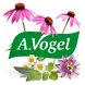 A.Vogel Echinaforce Herstellende Creme 30 gram