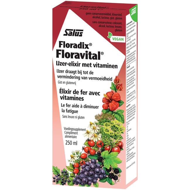 SALUS Floradix Floravital 250 ML