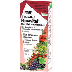 SALUS Floradix Floravital 250 ML
