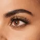 L'Oréal Paris Telescopic Lift Mascara Zwart