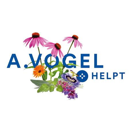 A.Vogel Boldocynara Bij Misselijkheid En Opgeblazen Gevoel Tabletten 80 ST