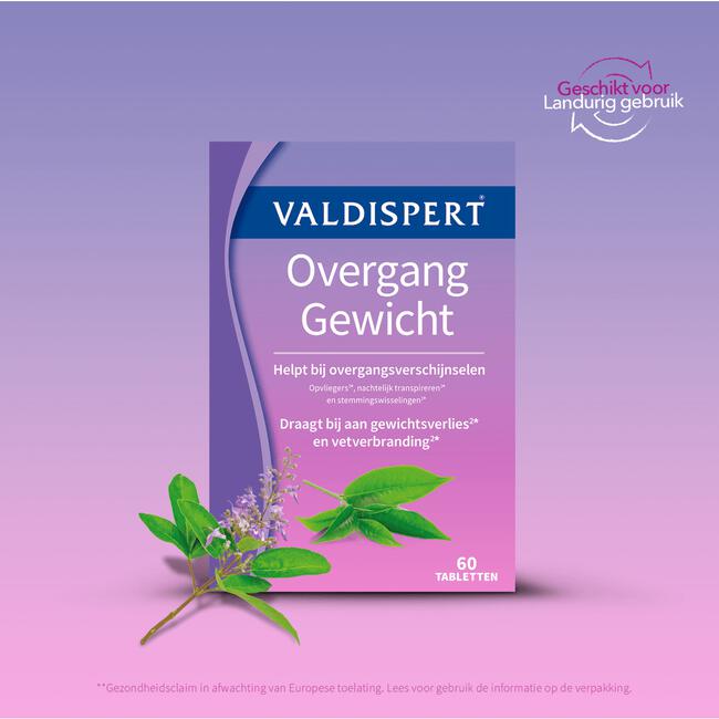 Valdispert Overgang Gewicht 60 stuks