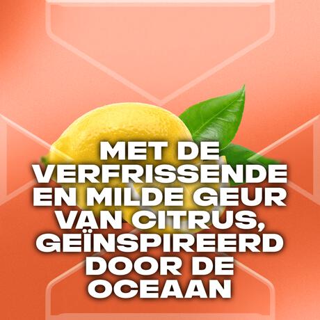 AXE Sunset Fresh Deodorant Bodyspray 150 ML