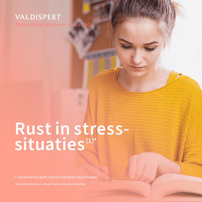 Valdispert Stress Moments 20 tabletten