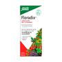 Floradix Vloeibaar IJzer Elixer
