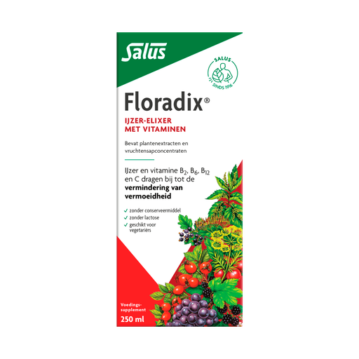 Floradix Vloeibaar IJzer Elixer 250 ML