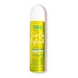 Umberto Giannini Scalp Refresh Dry Shampoo 200 ML