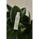 Therme Forest Flower Meditation Foaming Douchegel 200 ML