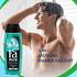 Fa Men Extreme Cool Douchegel & Shampoo 250 ML