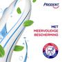 Prodent Cool Mint Tandpasta 75 ML
