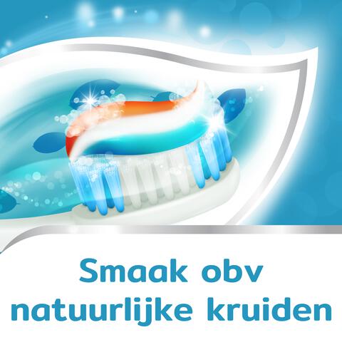 Aquafresh Cool Mint Tandpasta 5 stuks