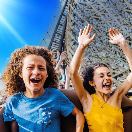 Entreeticket Toverland Volwassenen v.a. 140 cm