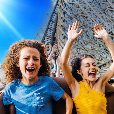 Entreeticket Toverland Volwassenen v.a. 140 cm