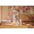 Therme Mindful Blossom Fragrance Sticks 150 ML