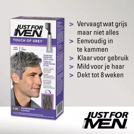 Just For Men Touch of Grey T35