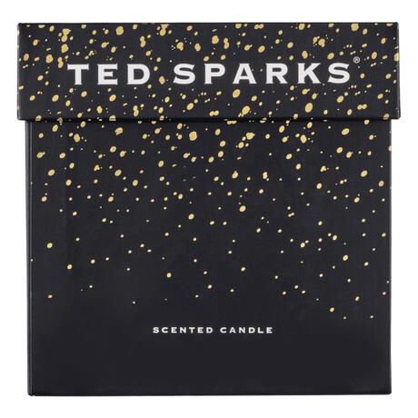 Ted Sparks Demi Candle Cinnamon & Spice 