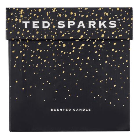 Ted Sparks Demi Candle Cinnamon & Spice 