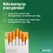 Nicorette Kauwgom Stoppen met Roken Menthol Mint 2 MG Nicotine 30 Stuks