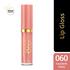 Max Factor 2000 Calorie Lip Glaze 060 Favorite Song