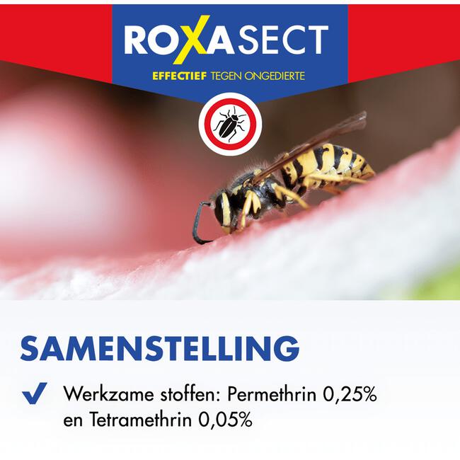 Roxasect Spuitbus Kruipende Insecten en Wespen 400 ML