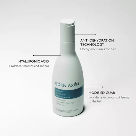 Bjorn Axen Moisture Conditioner 250 ML