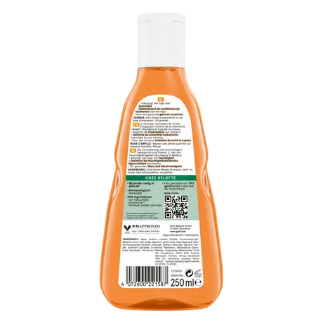 Guhl Vochtherstel Shampoo 250 ML