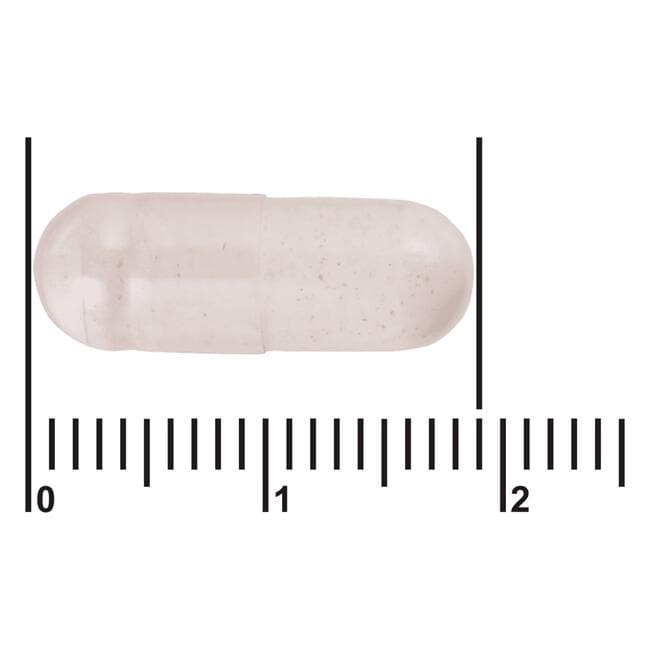 Etos Premium Vitamine B12 1000ug 60 capsules