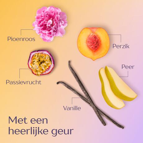 Andrélon Perfect Krul Shampoo 250 ML