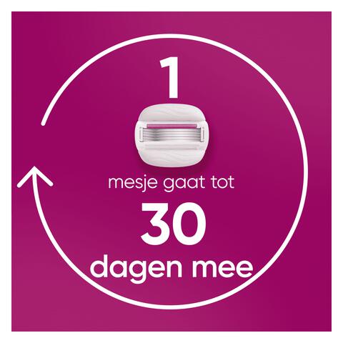 Gillette Venus Comfortglide Sugarberry Scheersysteem 5 Blades + 1 mesje