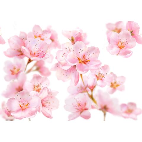 Kneipp Soft Skin Badolie 100 ML