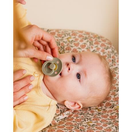 BIBS Colour Fopspeen Rond Latex Maat 2 Sage/Hunter Green 2 stuks