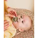 BIBS Colour Fopspeen Rond Latex Maat 2 Sage/Hunter Green 2 stuks