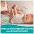 Pampers 99% Water Billendoekjes 9x60 stuks