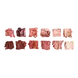 Revolution The True Icon Warm Nudes Oogschaduw Palet