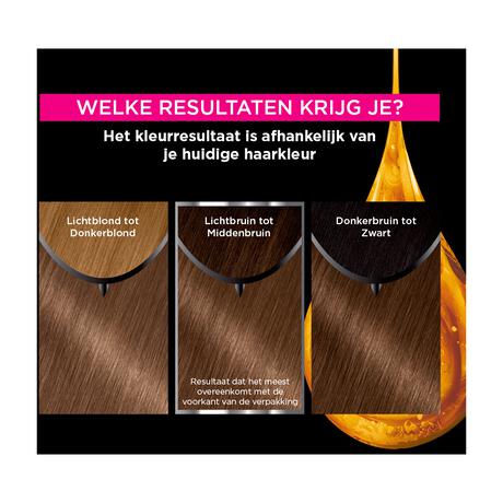 Garnier Olia Permanente Haarverf 6.0 Donkerblond