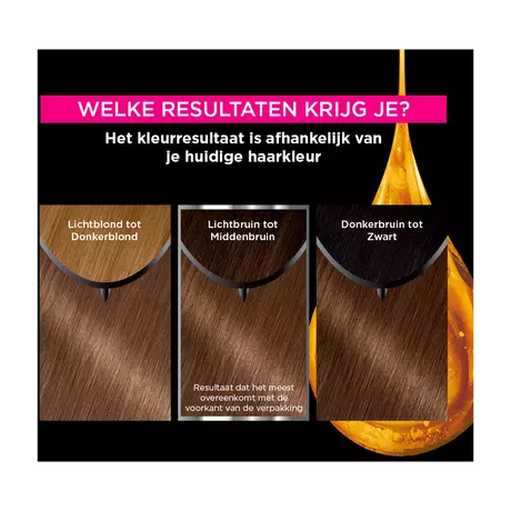 Garnier Olia Permanente Haarverf 6.0 Donkerblond