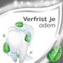 Aquafresh Tandsteen Controle Tandpasta Voordeelverpakking 5x75  ML