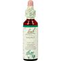 Bach Bloesem Essence Walnut 20 ML