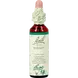 Bach Bloesem Essence Walnut&nbsp;20 ML
