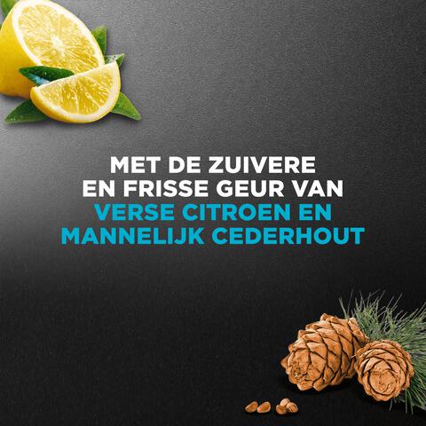 Dove Men+Care Clean Comfort Douchegel 250 ML