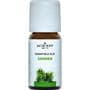 Jacob Hooy Essentiele Olie Dennen 10 ML