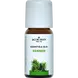 Jacob Hooy Essentiële Olie Dennen 10 ML