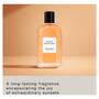 David Beckham Collection Amber Breeze eau de parfum 50ml​