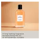 David Beckham Amber Breeze Eau De Parfum 50 ML