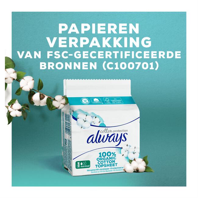 Always Cotton Protection Maandverband Night Met Vleugels 8 Stuks
