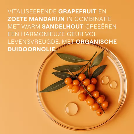 Weleda Vitality Duindoorn Douchecrème 200 ML